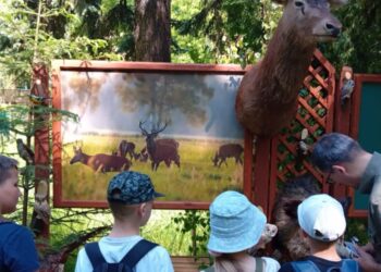 Dzień Dziecka z Radiem Zachód Radio Zachód - Lubuskie