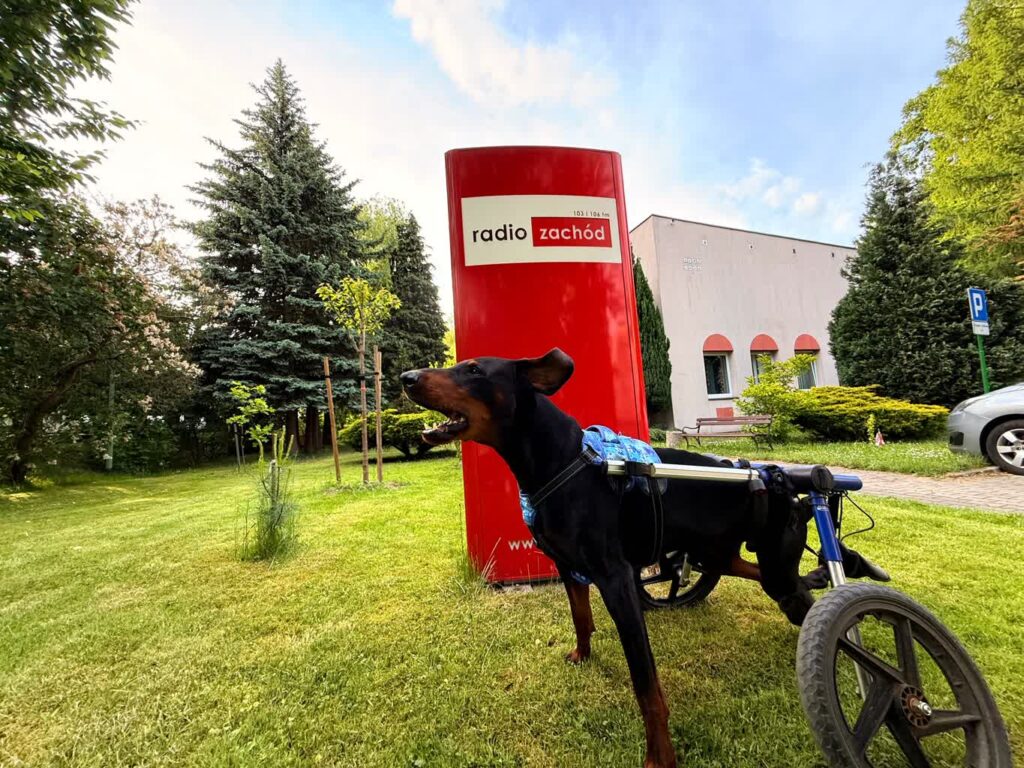 Ares w Radiu Zachód