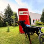 Ares w Radiu Zachód