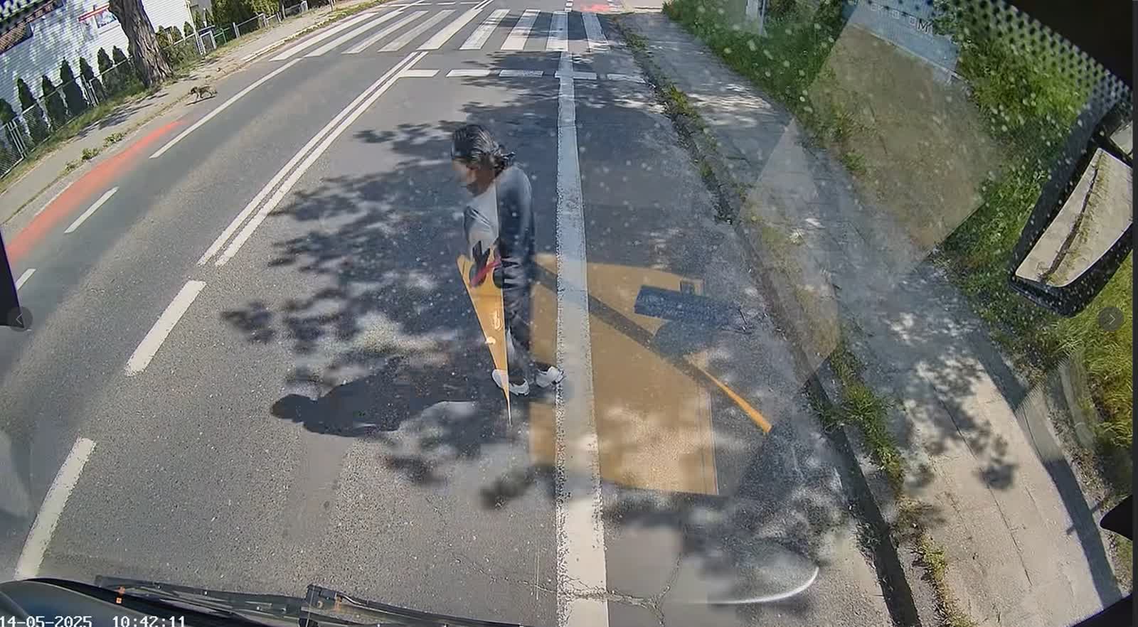 Kierowca MZK uratowała rannego psa