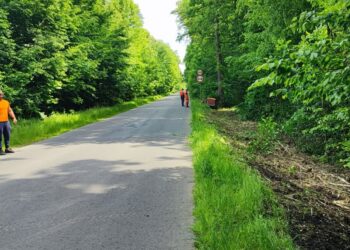 Remont drogi Nowa Sól - Stany