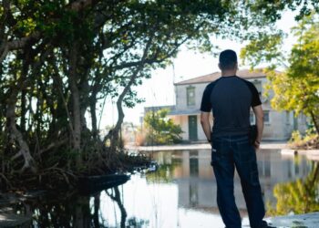 Zdjęcie ilustracyjne. Fot. Freepik