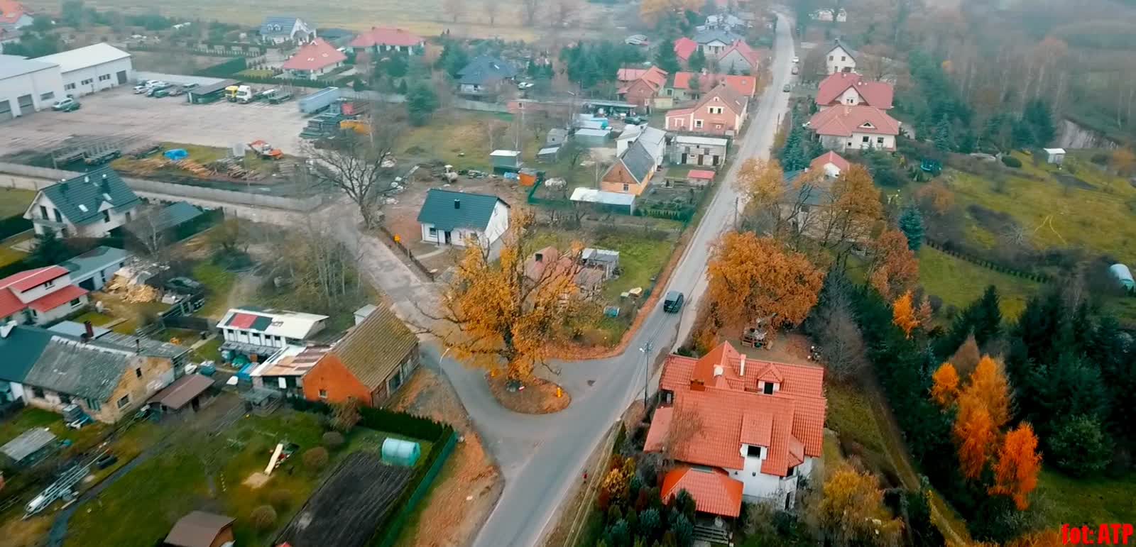 Jaka nazwa ulicy w Rozłogach?