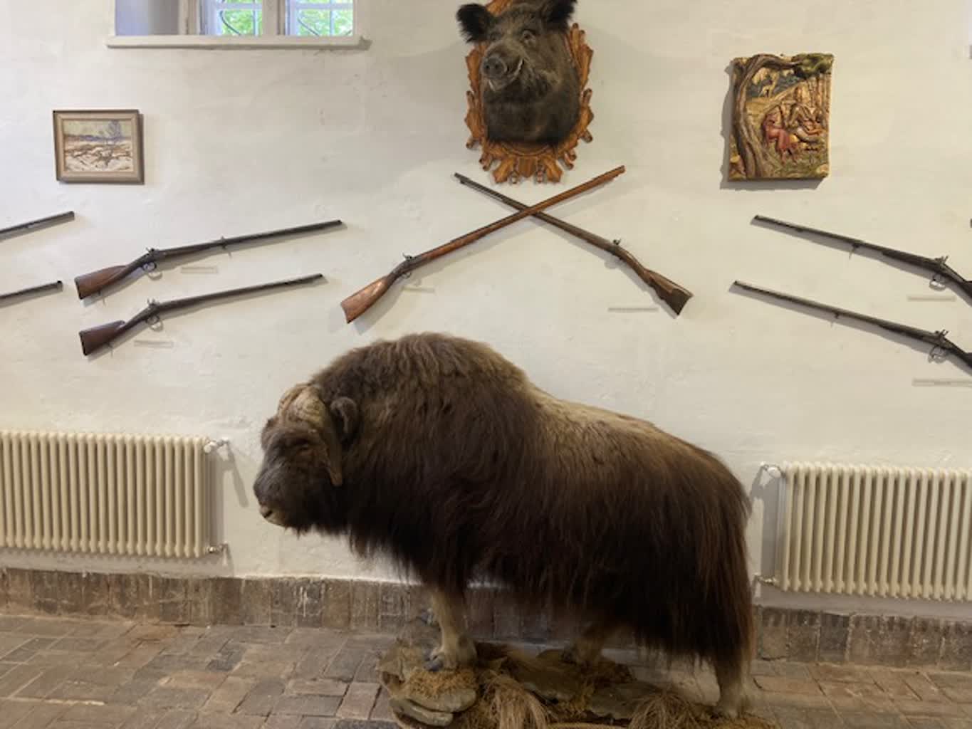 Zagrają na rogu i puszczą sokoła