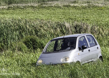 Kierowca z narkotykami i bez uprawnień zatrzymany. Próbował ukryć się w trzcinach i wodzie Radio Zachód - Lubuskie