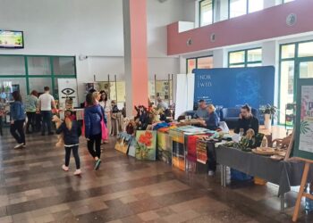 Piknik rodzinny z okazji 70-lecia biblioteki Norwida (fot. Piotr Bakselerowicz)