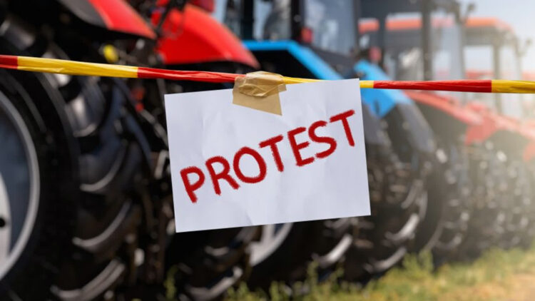 Fot. Gmina Dorohusk/FB