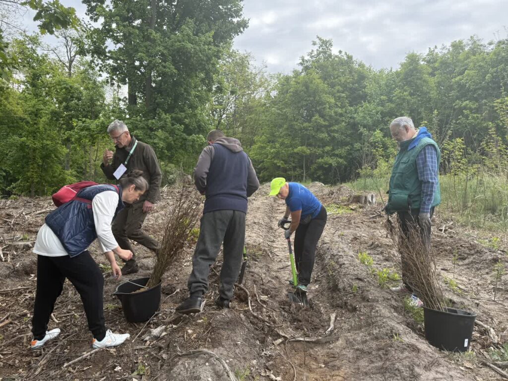 Zielonogórzanie posadzili razem las Zielonogórzanie posadzili razem las Radio Zachód - Lubuskie