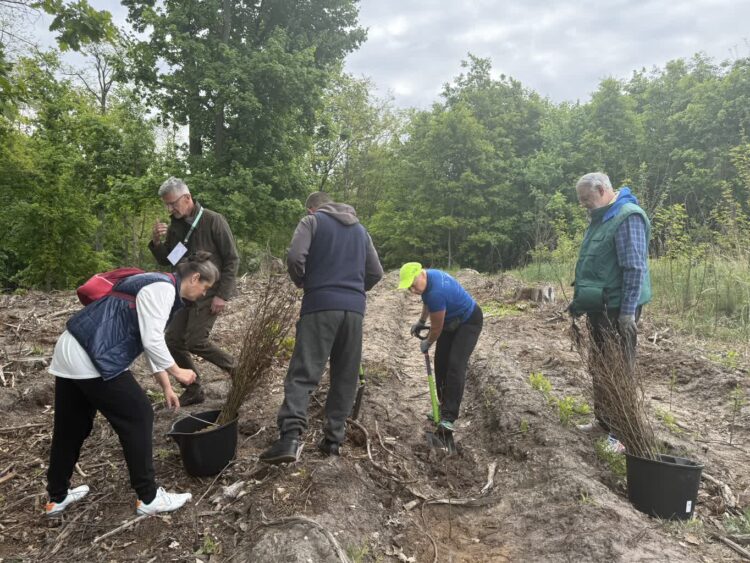 Zielonogórzanie posadzili razem las 9 Zielonogórzanie posadzili razem las Radio Zachód - Lubuskie