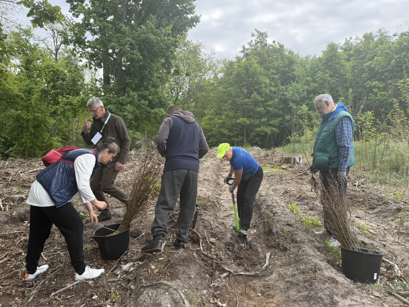 Zielonogórzanie posadzili razem las