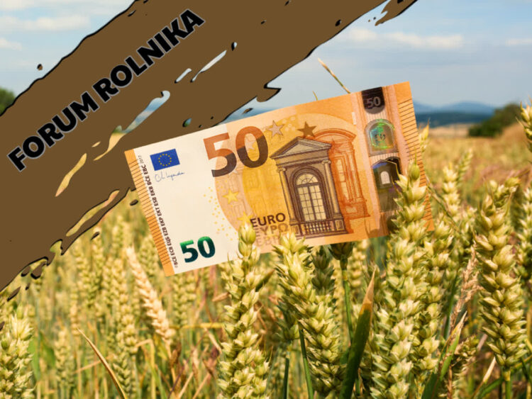 Forum Rolnika #5: Premie dla młodych rolników Radio Zachód - Lubuskie