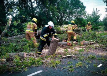 Strażacy w akcji po nawałnicy (KWPSP Gorzów)
