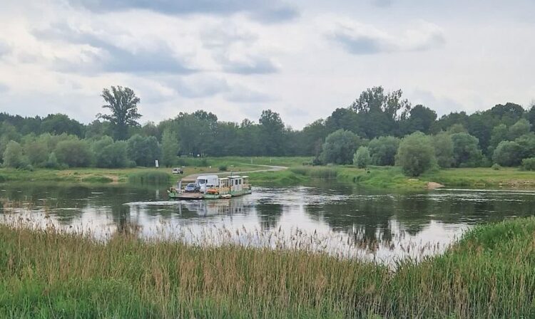 Prom przewozowy na Odrze w Połęcku (ZDW Zielona Góra)