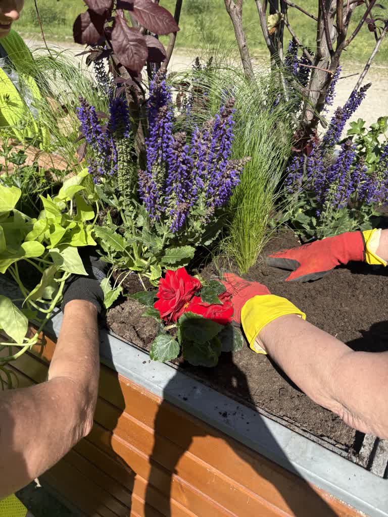 10 tys. nowych roślin w mieście Radio Zachód - Lubuskie