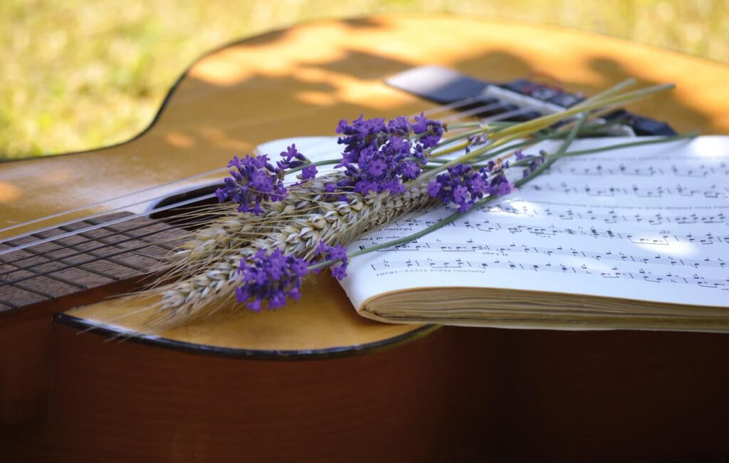 Gmina Sulechów zaprasza na wydarzenie "Niewinne melodie" Foto: Pixabay