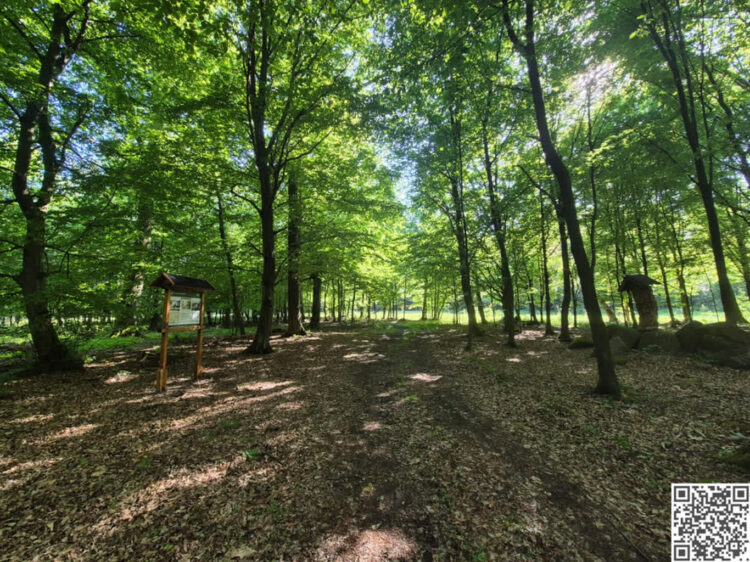 Nadleśnictwo Wymiarki zaprasza na spacer 9 fot. J. Kazimir/ Nadleśnictwo Wymiarki