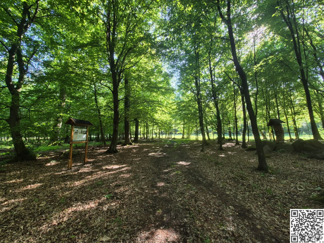 Nadleśnictwo Wymiarki zaprasza na spacer