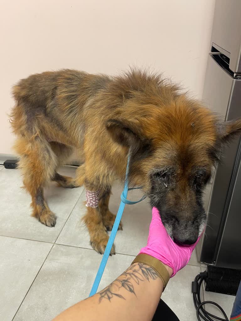 „Sprawa Abi i Adry” audycja Izabeli Kwiatkowskiej w poniedziałek po godz. 14