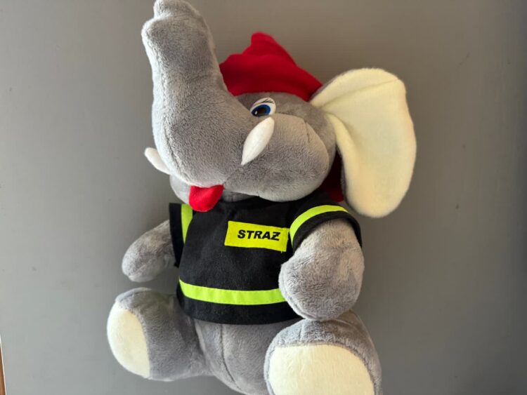 Ponad 130 lat walczą z pożarami. Jubileusz babimojskiej OSP 9 Ponad 130 lat walczą z pożarami. Jubileusz babimojskiej OSP Radio Zachód - Lubuskie