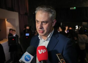 Krzysztof Gawkowski. Fot. PAP/ Paweł Supernak