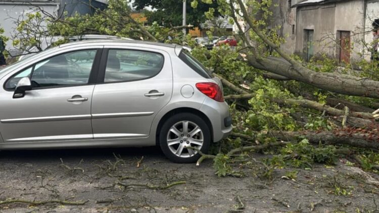 Fot. Grażyna Waligóra