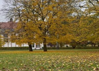 Rusza budowa kompleksu boisk przy II LO w Gorzowie Radio Zachód - Lubuskie