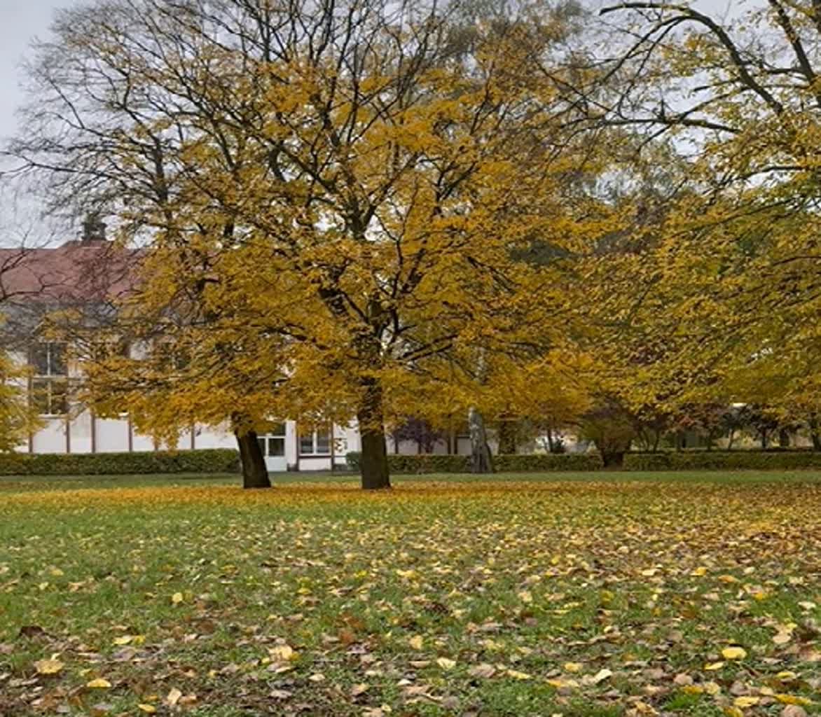 Rusza budowa kompleksu boisk przy II LO w Gorzowie Radio Zachód - Lubuskie