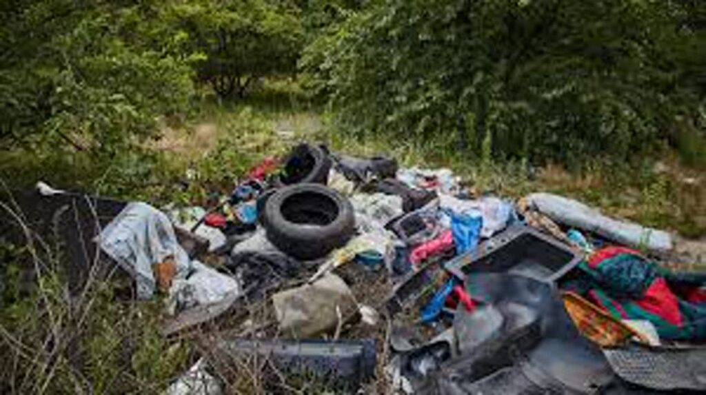 Dzikie wysypiska - Szprotawa