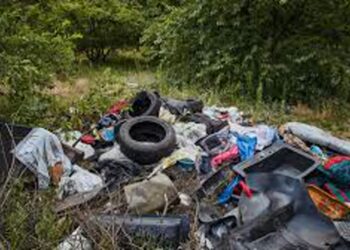 Dzikie wysypiska - Szprotawa