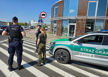 fot: materiały prasowe SG