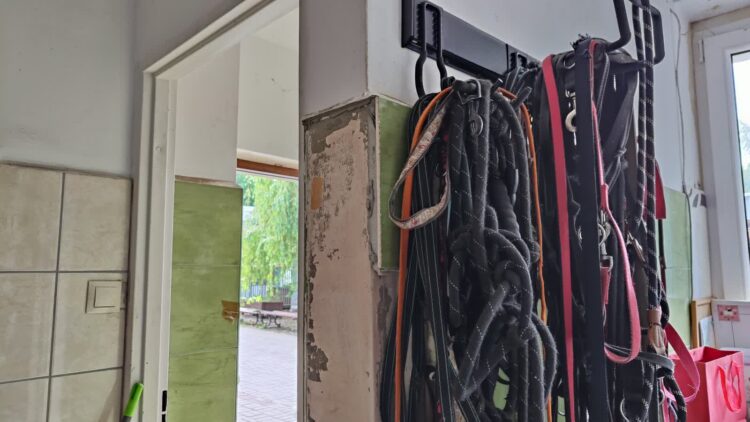 Pomieszczenie_wolontariatu_fot.M.Nabel