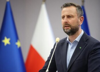 Wicepremier Władysław Kosiniak-Kamysz. Fot. PAP/ Łukasz Gągulski