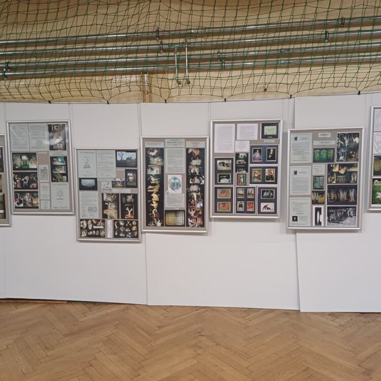 Wystawa w SP w Nowym Miasteczku