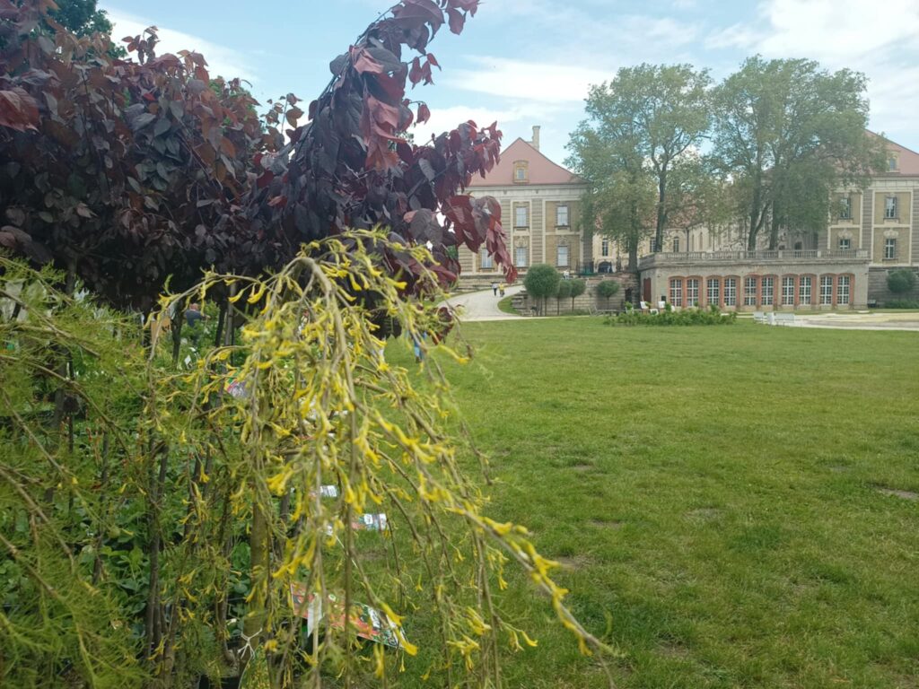 Kiermasz ogrodniczy „Złote ogrody księżnej Doroty” [ZDJĘCIA] Radio Zachód - Lubuskie