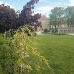 Kiermasz ogrodniczy „Złote ogrody księżnej Doroty” [ZDJĘCIA] Radio Zachód - Lubuskie