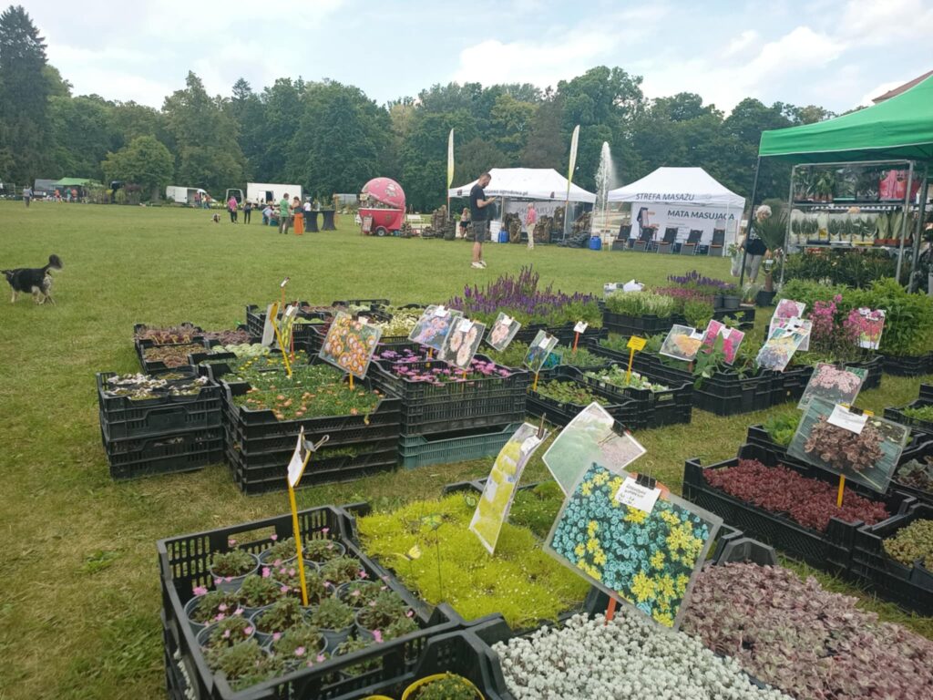 Kiermasz ogrodniczy „Złote ogrody księżnej Doroty” [ZDJĘCIA] Radio Zachód - Lubuskie