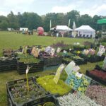 Kiermasz ogrodniczy „Złote ogrody księżnej Doroty” [ZDJĘCIA] Radio Zachód - Lubuskie