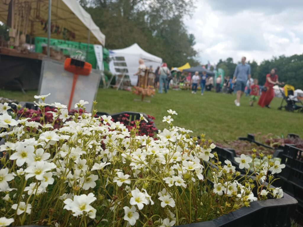 Kiermasz ogrodniczy „Złote ogrody księżnej Doroty” [ZDJĘCIA] Radio Zachód - Lubuskie