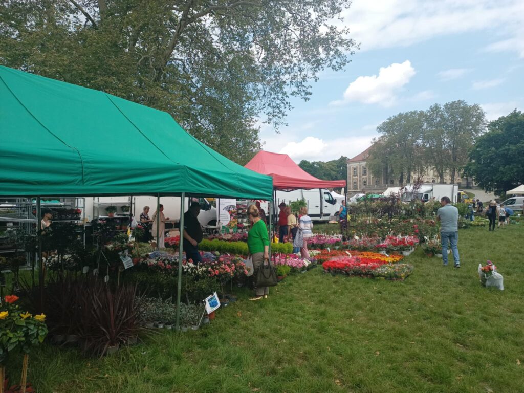 Kiermasz ogrodniczy „Złote ogrody księżnej Doroty” [ZDJĘCIA] Radio Zachód - Lubuskie