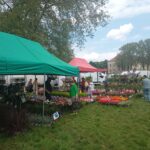 Kiermasz ogrodniczy „Złote ogrody księżnej Doroty” [ZDJĘCIA] Radio Zachód - Lubuskie