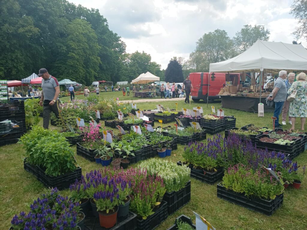 Kiermasz ogrodniczy „Złote ogrody księżnej Doroty” [ZDJĘCIA] Radio Zachód - Lubuskie