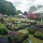 Kiermasz ogrodniczy „Złote ogrody księżnej Doroty” [ZDJĘCIA] Radio Zachód - Lubuskie