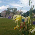 Kiermasz ogrodniczy „Złote ogrody księżnej Doroty” [ZDJĘCIA] Radio Zachód - Lubuskie