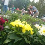 Kiermasz ogrodniczy „Złote ogrody księżnej Doroty” [ZDJĘCIA] Radio Zachód - Lubuskie