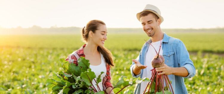 Agencja Restrukturyzacji i Modernizacji Rolnictwa