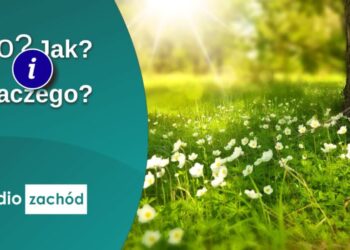 Wędrujemy po lesie Radio Zachód - Lubuskie