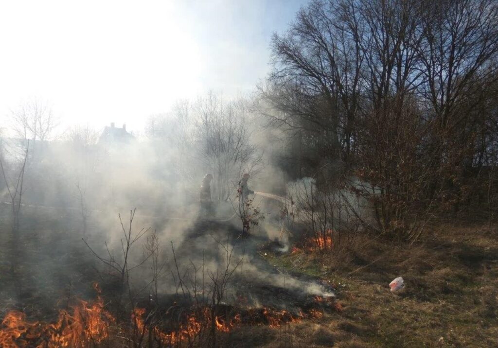 Susza w lubuskich lasach. Leśnicy przypominają o ważnych zasadach fot. PSP Żagań
