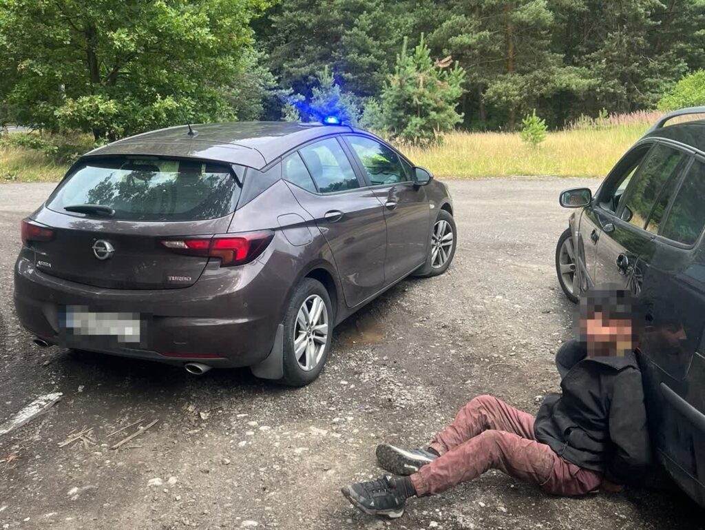 fot: materiały prasowe NOSG