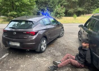 fot: materiały prasowe NOSG