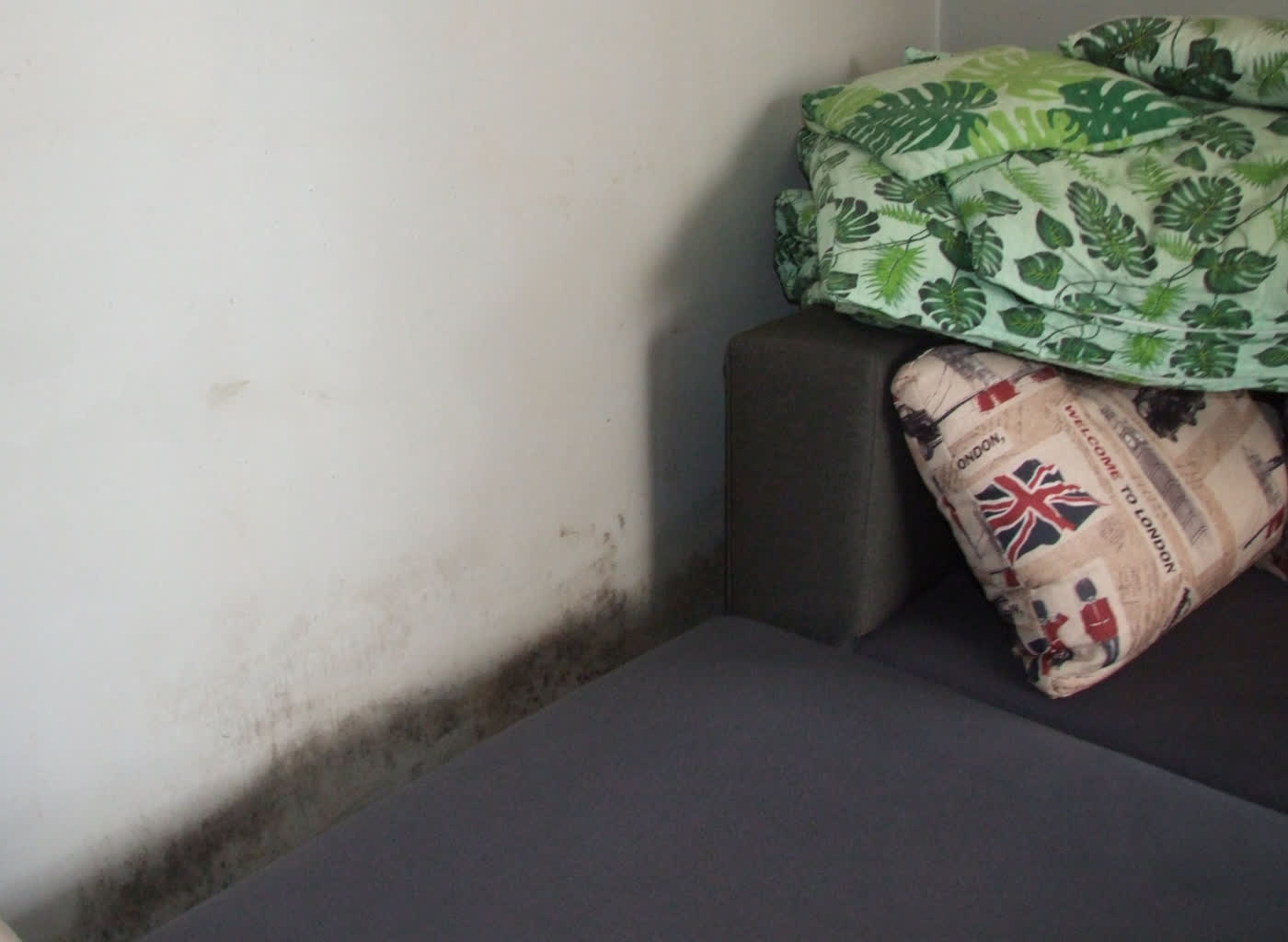 Nic się nie dzieje 13 grzyb 2.jpg